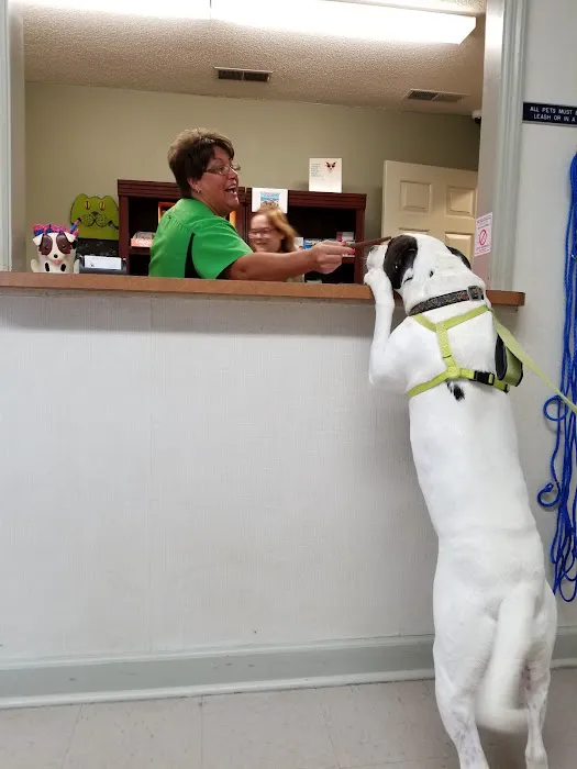 Beltline Animal Clinic Picture 6