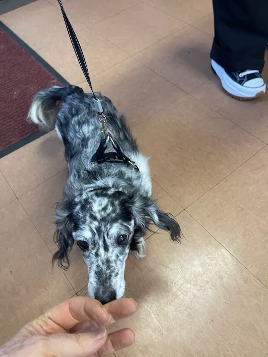 Osborne Animal Clinic Picture 2