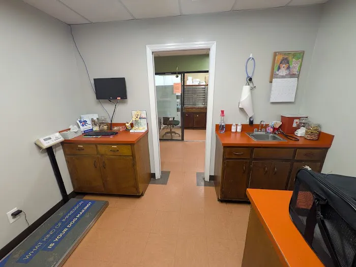 Osborne Animal Clinic Picture 8