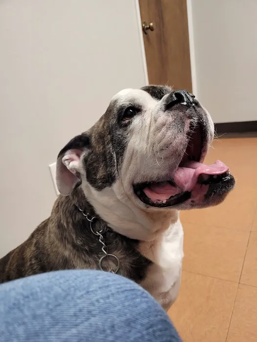 Osborne Animal Clinic Picture 10