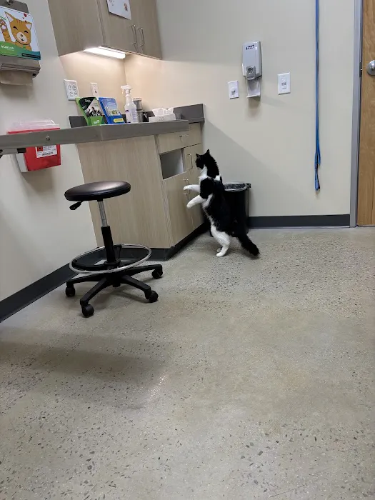 Vetco Total Care Animal Hospital Picture 7