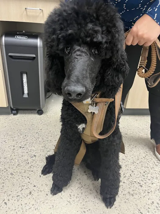 Vetco Total Care Animal Hospital Picture 6