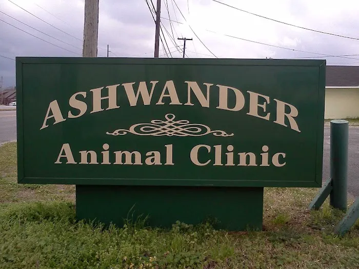 Ashwander Animal Clinic Picture 2