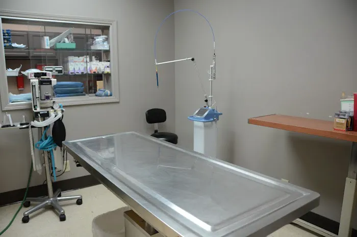 Snodgrass Veterinary Medical Center Picture 2