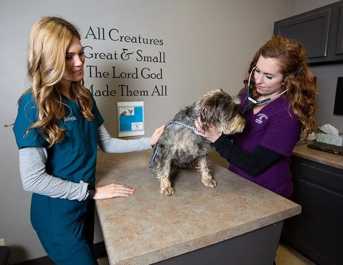 Snodgrass Veterinary Medical Center Picture 7