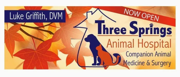 Three Springs Animal Hospital Picture 6