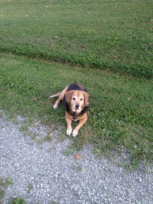 White House Animal Hospital Picture 6
