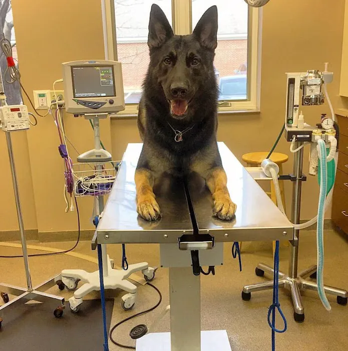 Orchard Park Animal Hospital Picture 5
