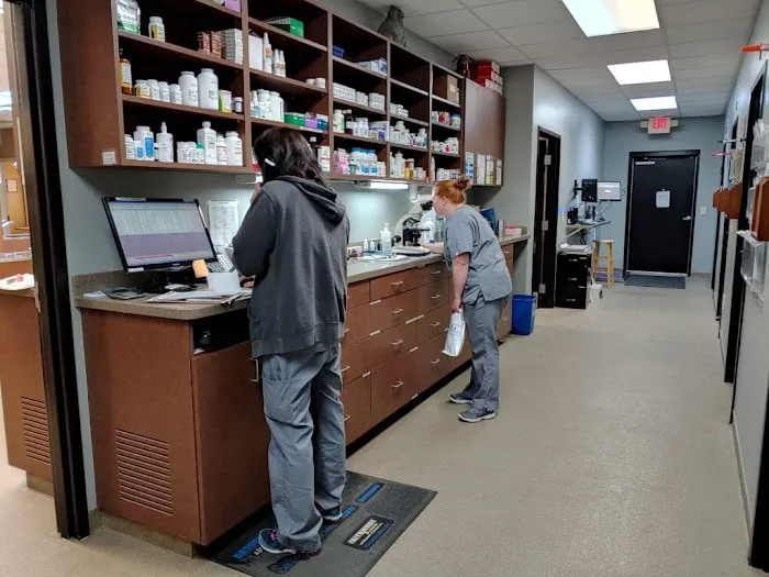 Orchard Park Animal Hospital Picture 6