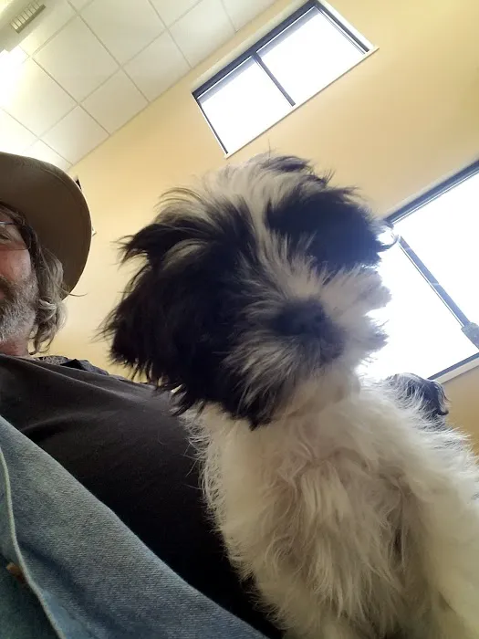 Crocker Animal Hospital LLP Picture 1