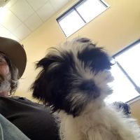 Crocker Animal Hospital LLP ico