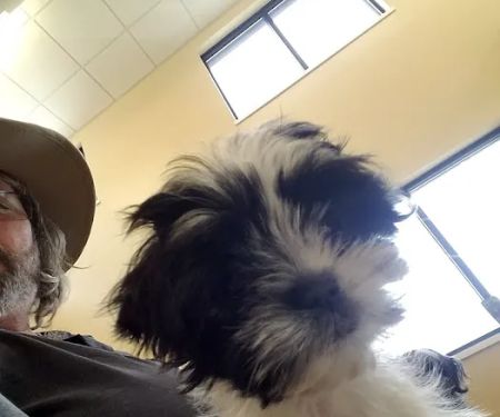 Crocker Animal Hospital LLP