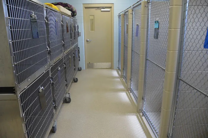 Crocker Animal Hospital LLP Picture 6