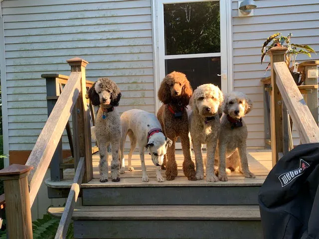 Crocker Animal Hospital LLP Picture 10