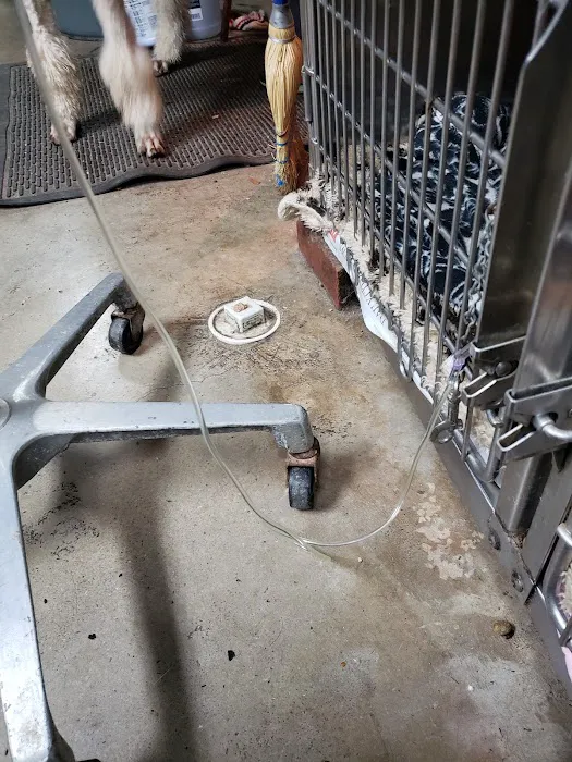 Murray County Veterinary Services Picture 6