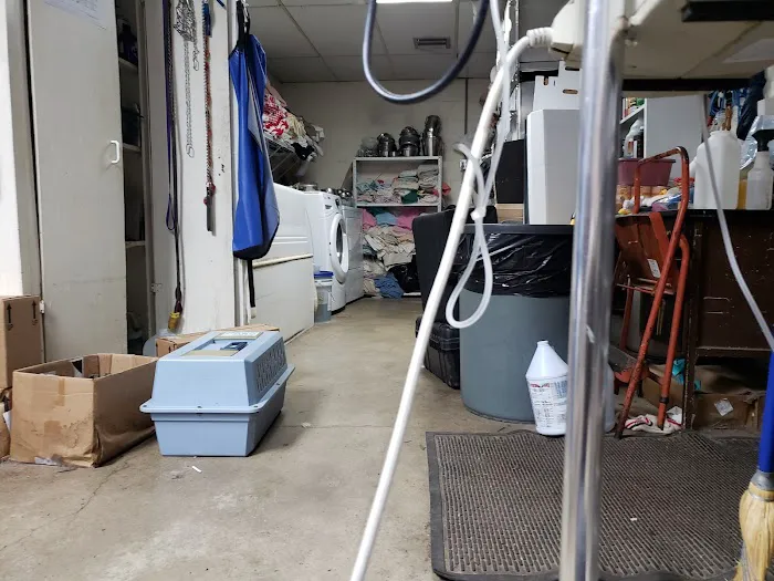 Murray County Veterinary Services Picture 5