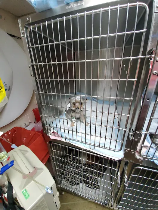 Murray County Veterinary Services Picture 9