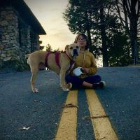 Calhoun Pet Care ico