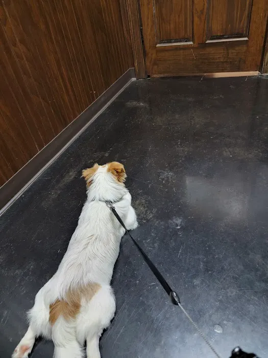 Calhoun Pet Care Picture 4