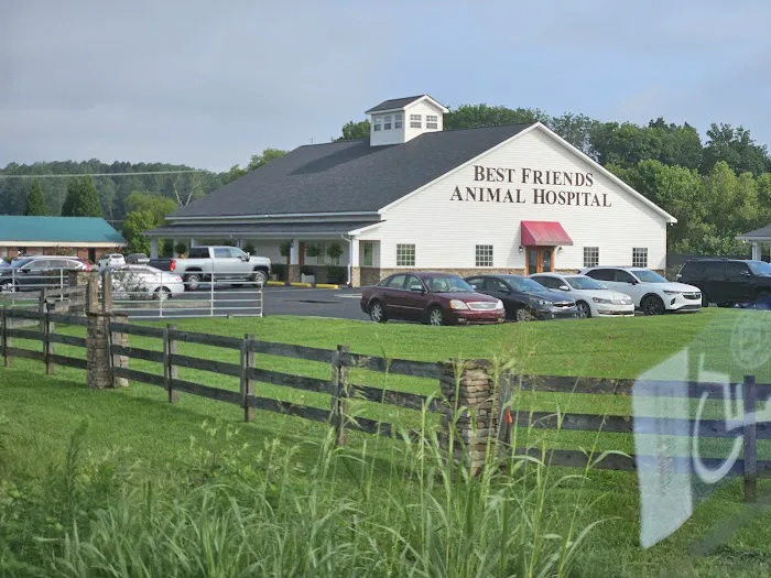 Best Friends Animal Hospital DVM Picture 5