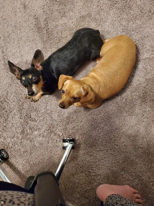 Best Friends Animal Hospital DVM Picture 6