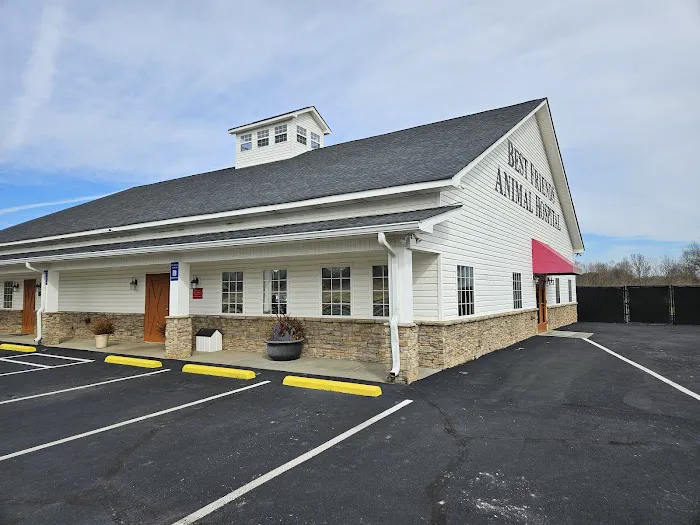 Best Friends Animal Hospital DVM Picture 9