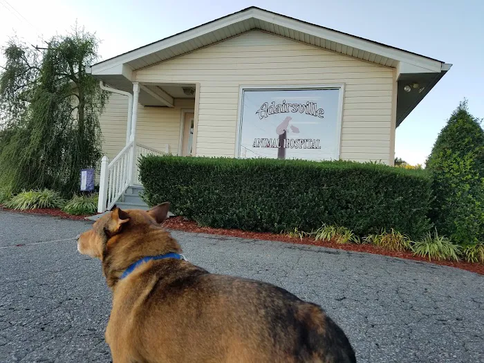 Adairsville Animal Hospital Picture 1