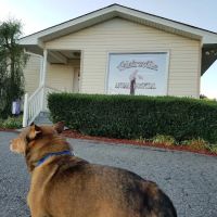 Adairsville Animal Hospital ico