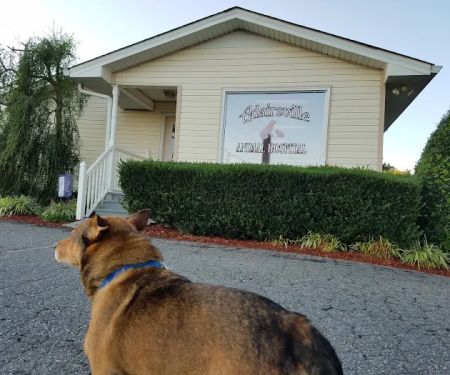 Adairsville Animal Hospital