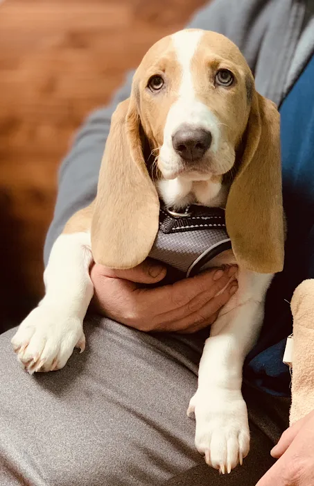 Adairsville Animal Hospital Picture 10