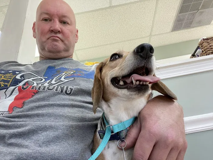 Culbreth Carr Watson Animal Clinic Picture 8