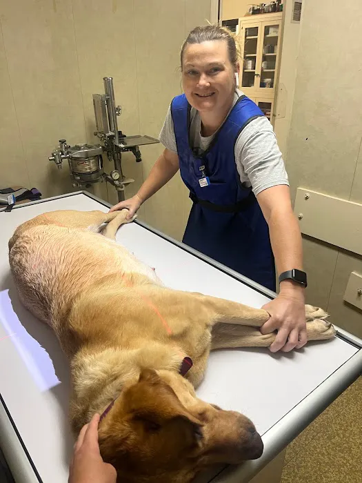 East Rome Animal Clinic Picture 10