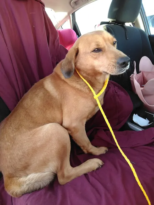 Lusk Animal Clinic Picture 8