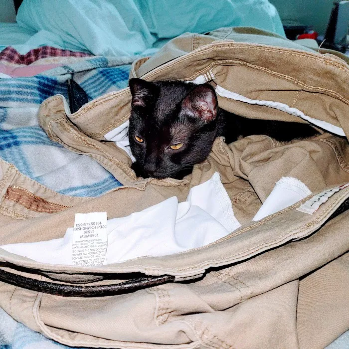 Hokes Bluff Veterinary Hospital Picture 5