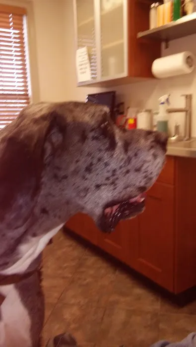Polk Veterinary Care, LLC Picture 2