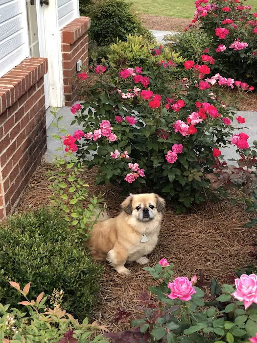Polk Veterinary Care, LLC Picture 1