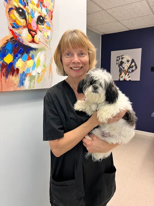 Rainbow City Pet Clinic Picture 4