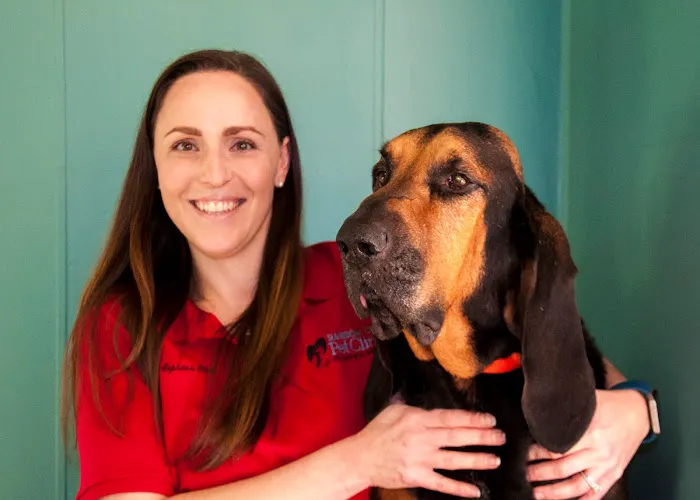Rainbow City Pet Clinic Picture 5