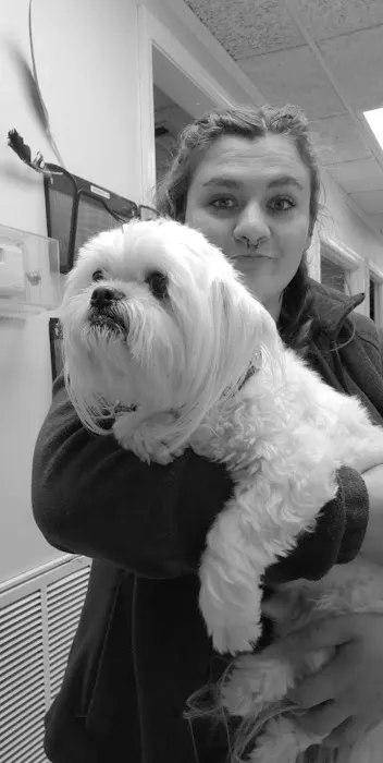 Rainbow City Pet Clinic Picture 9