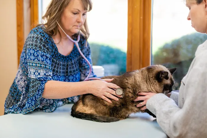 Clanton Animal Hospital LLC Picture 2