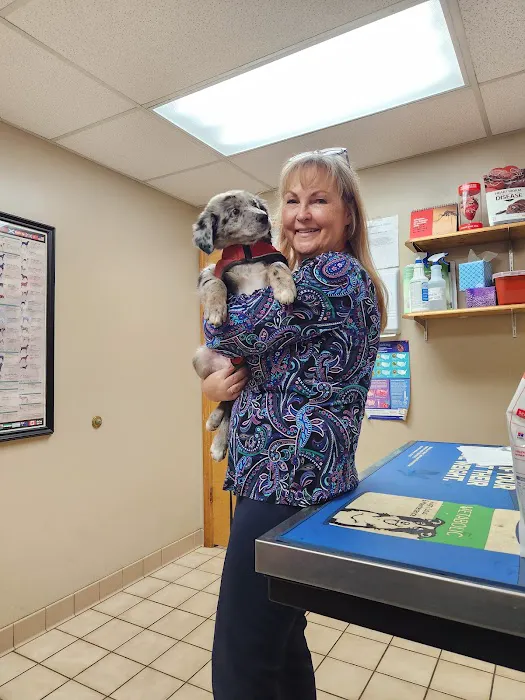 Clanton Animal Hospital LLC Picture 7