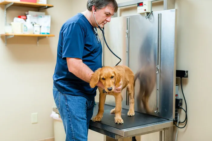 Clanton Animal Hospital LLC Picture 10