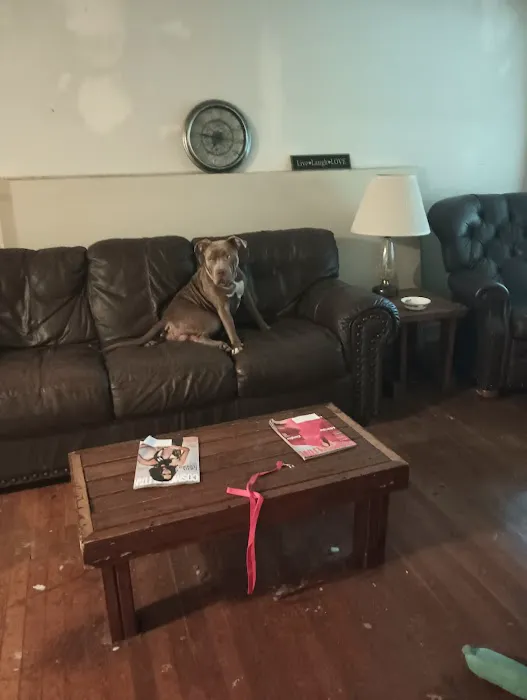 Holly Pond Animal Clinic Picture 9