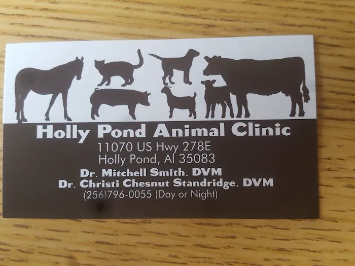 Holly Pond Animal Clinic Picture 8