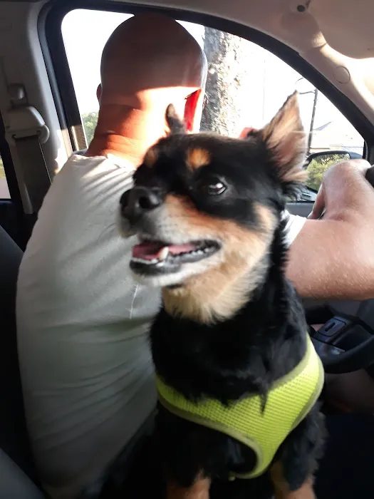 Morgan City Animal Clinic Picture 5