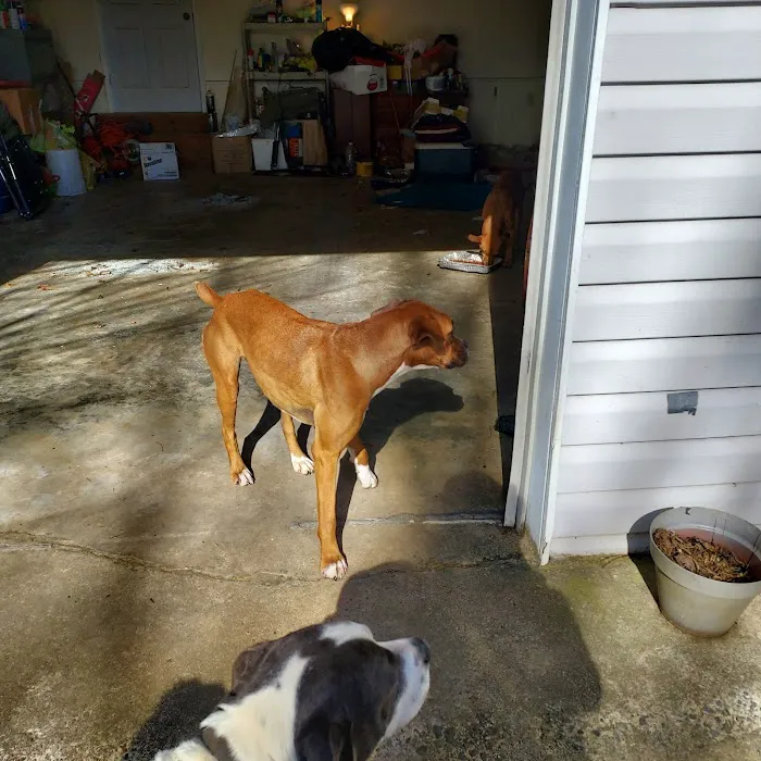 East Point Animal Clinic Picture 1