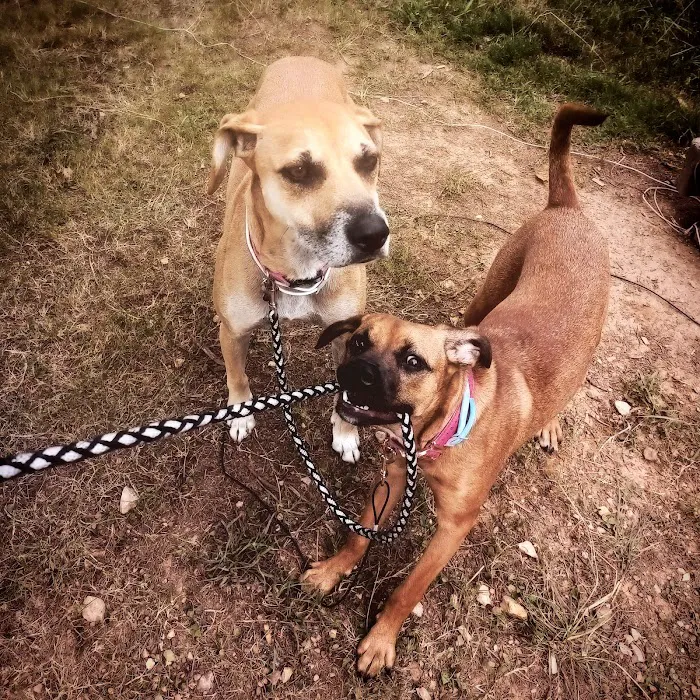East Point Animal Clinic Picture 4