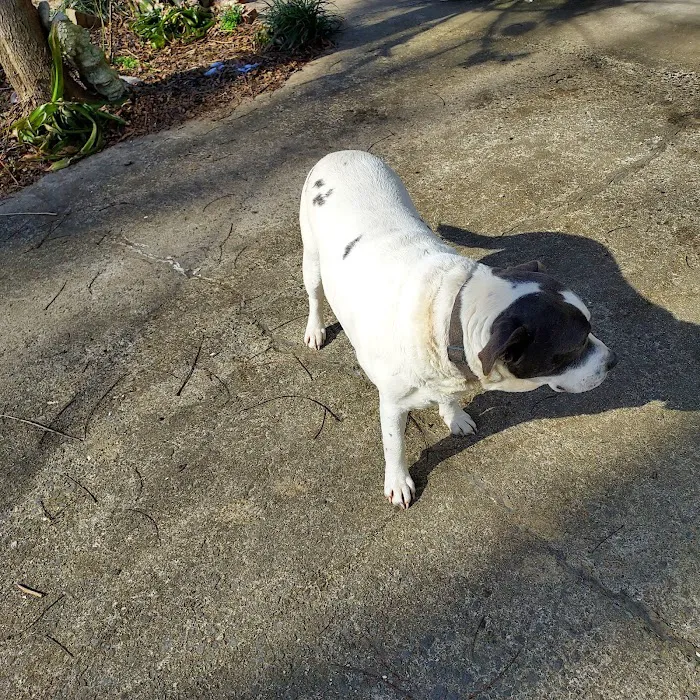 East Point Animal Clinic Picture 3