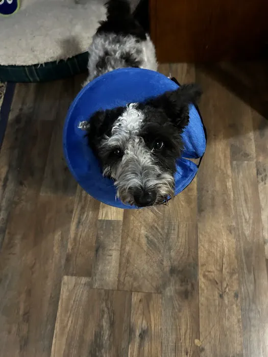 East Point Animal Clinic Picture 5