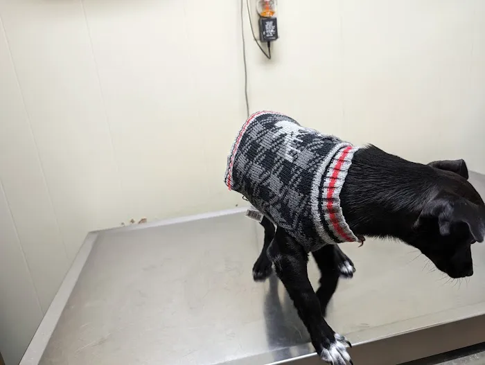 East Point Animal Clinic Picture 10
